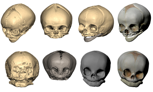 skulls-digitalprocess
